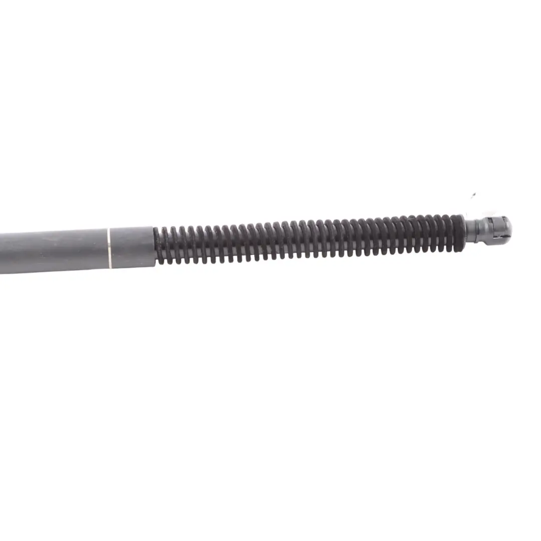 BMW F13 Ammortizzatore Portellone Bagagliaio Destro Sinistro - SKU 4805843 - Numero di parte 4805843