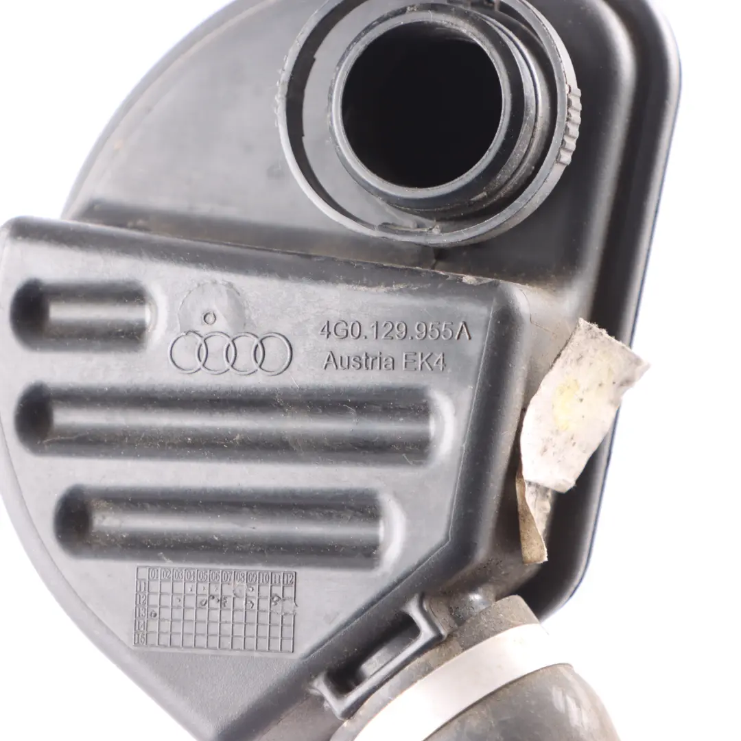 Audi RS6 C7 4.0 TFSI CRDB Petrol Secondary Air Pump Filter - SKU 4G0129955A - Part number 4G0129955A