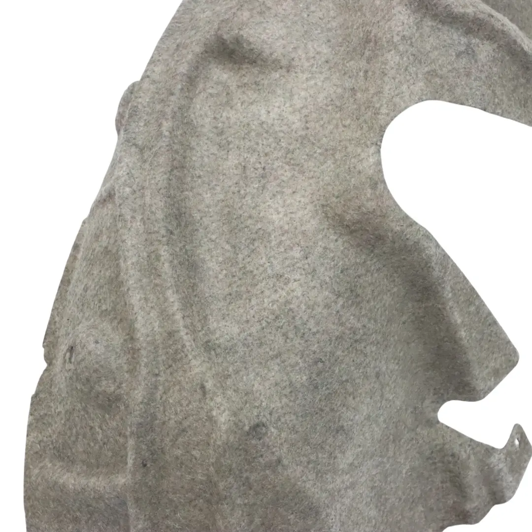 VW Volkswagen Tiguan 5N Hintere Radlaufverkleidung Spritzschutz Rechts - SKU 5N0810972 - Teilenummer 5N0810972