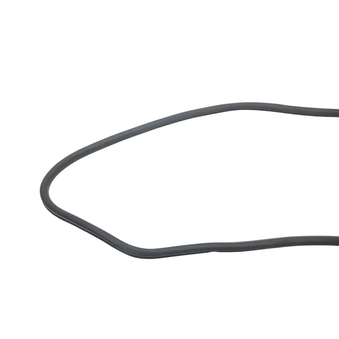 VW Tiguan 5N Porta Posteriore Esterna Guarnizione Gomma Sinistra - SKU 5N0839701A - Numero di parte 5N0839701A