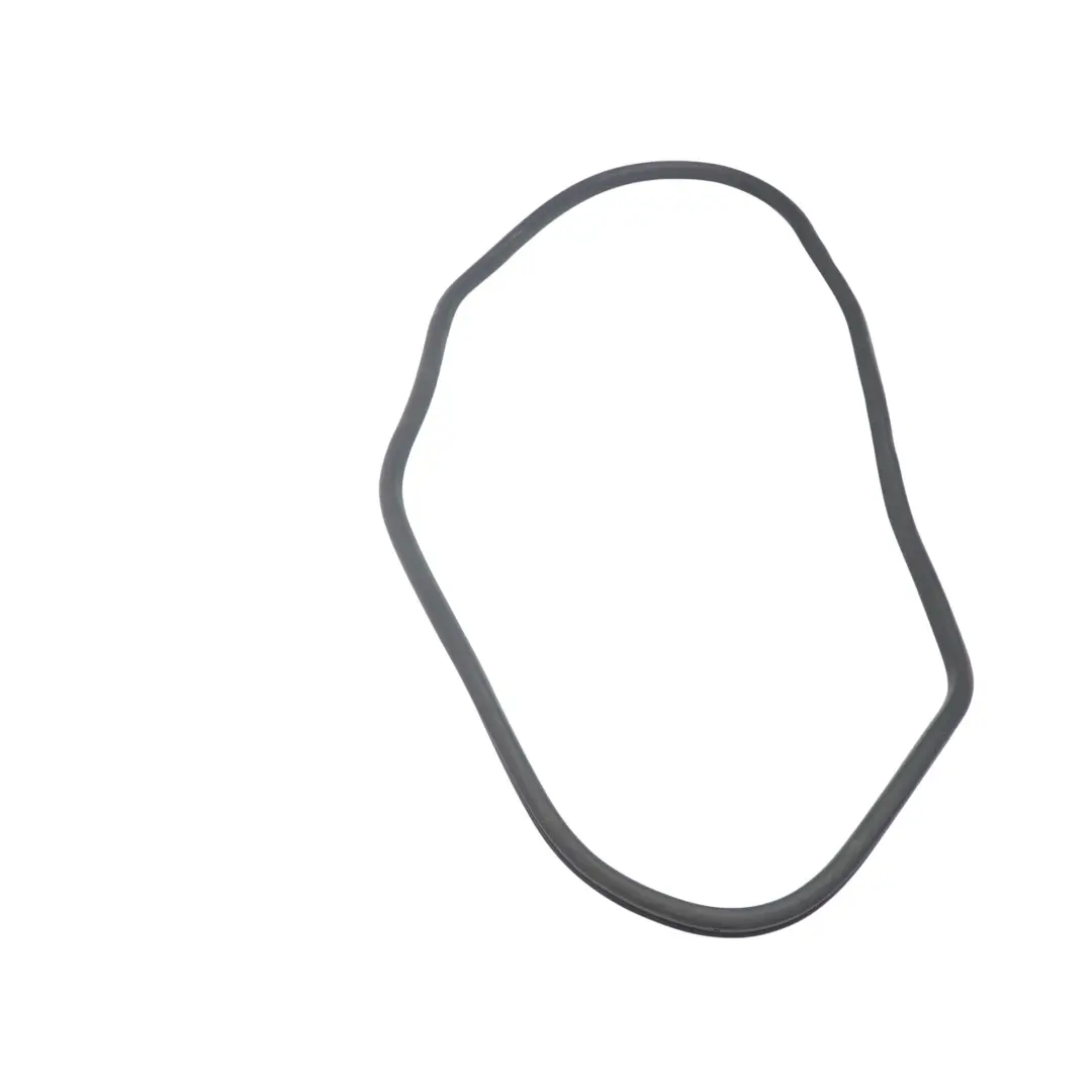 Hintere Tür äußere Dichtung Gummi Links für VW Volkswagen Tiguan 5N mit Teilenummer 5N0839701A VW Volkswagen Tiguan 5N Hintere Tür äußere Dichtung Gummi Links - SKU 5N0839701A - Teilenummer 5N0839701A