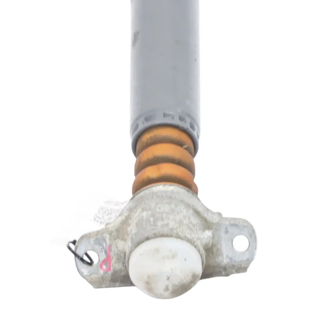 Hinten Stoß Dämpfer Federbein Links für Audi A3 8V mit Teilenummer 5Q0513049BF Audi A3 8V Hinten Stoß Dämpfer Federbein Links - SKU 5Q0513049BF - Teilenummer 5Q0513049BF