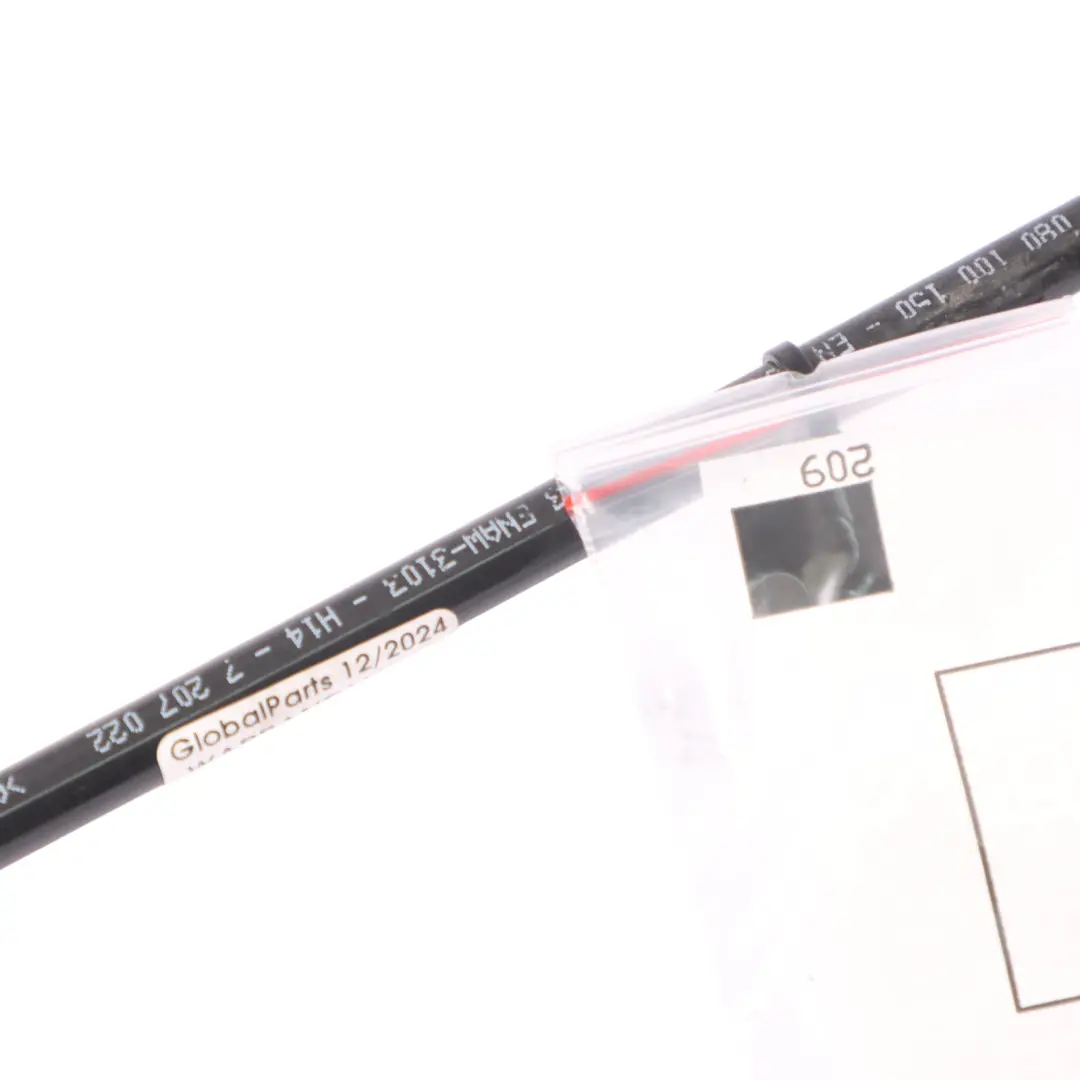 BMW Z4 E89 Linea alimentazione Tubo carburante anteriore flessibile - SKU 7207022 - Numero di parte 7207022