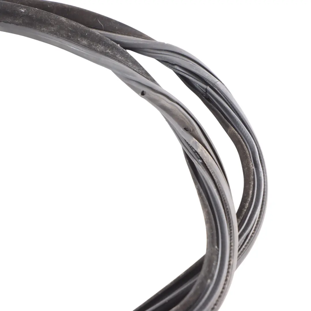 BMW F06 Puerta Trasera Burlete Junta De Goma Derecha - SKU 7275316 - Número de pieza 7275316