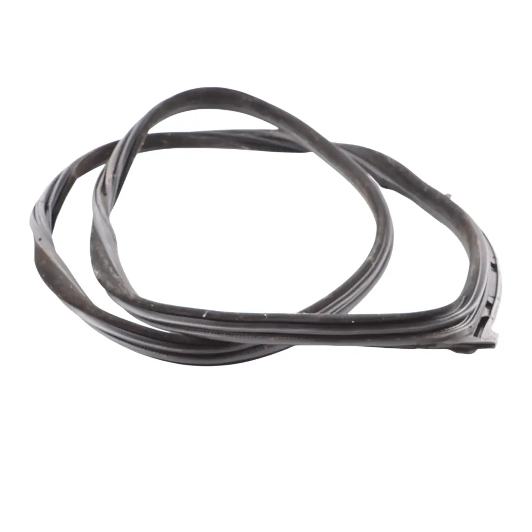 BMW F06 Puerta Trasera Burlete Junta De Goma Derecha - SKU 7275316 - Número de pieza 7275316
