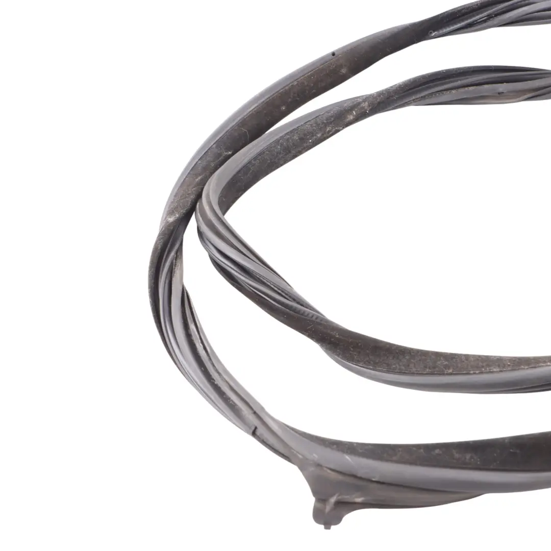 BMW F06 Porta Posteriore Striscia Meteo Guarnizione Gomma Destra - SKU 7275316 - Numero di parte 7275316
