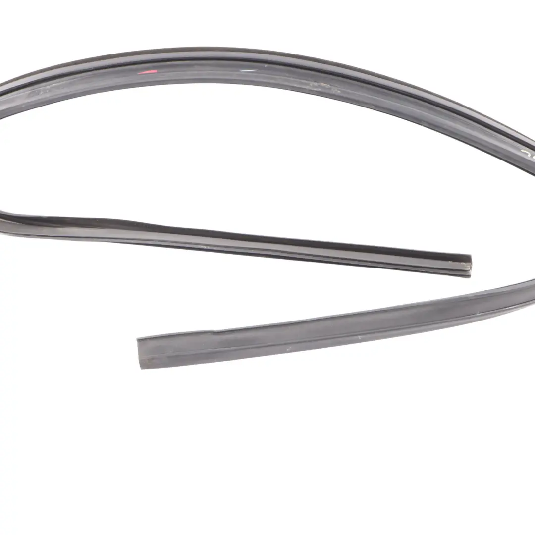 Puerta Delantera Ventana Guía Rail Derecho para BMW X3 F25 con número de pieza 7311260 BMW X3 F25 Puerta Delantera Ventana Guía Rail Derecho - SKU 7311260 - Número de pieza 7311260