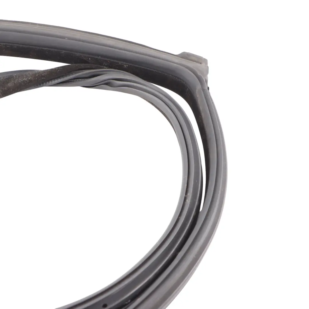 Porta Posteriore Striscia Meteo Guarnizione Gomma Sinistra per BMW F06 con numero di parte 7328771 BMW F06 Porta Posteriore Striscia Meteo Guarnizione Gomma Sinistra - SKU 7328771 - Numero di parte 7328771