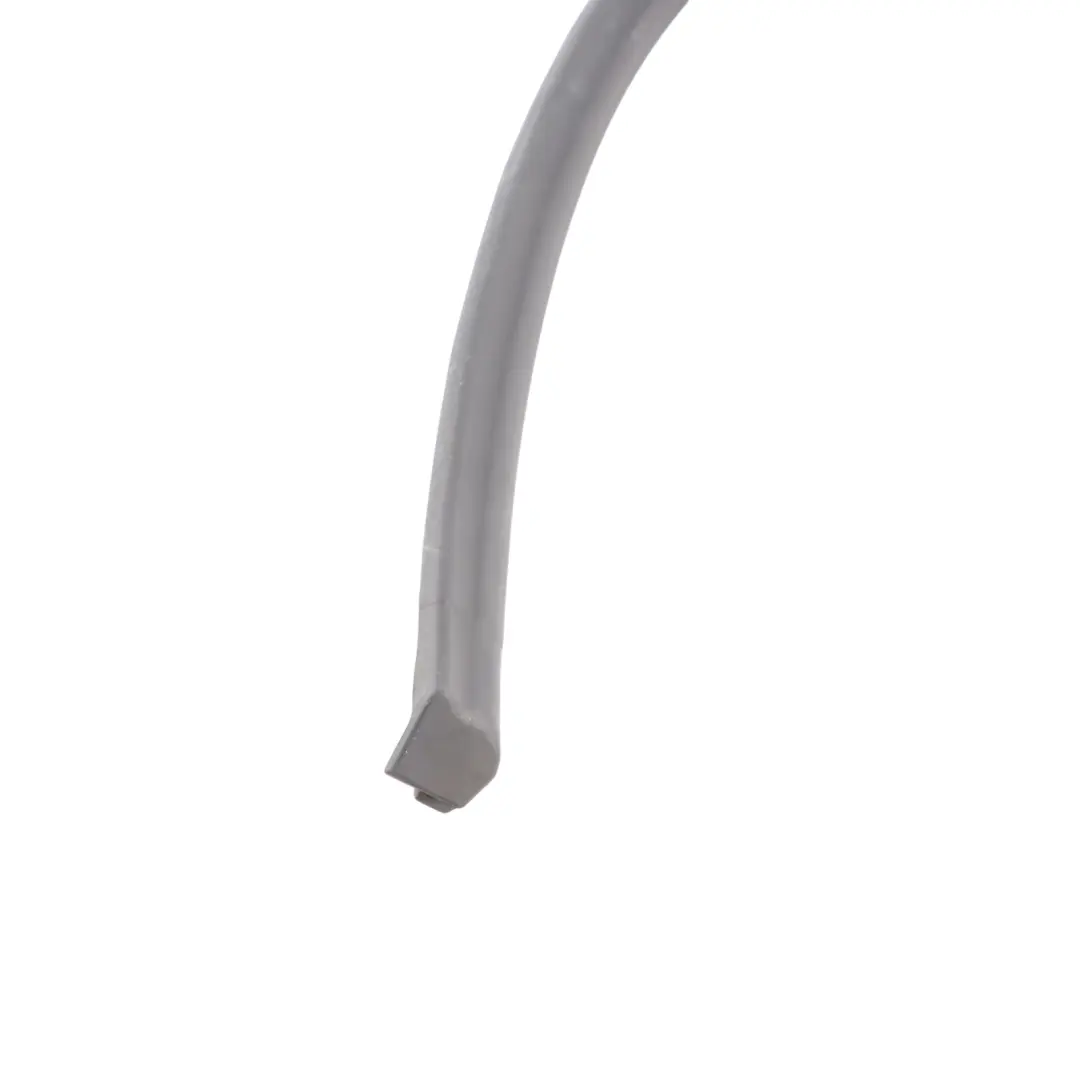 Front Door Lower Weatherstrip Left N/S Sealing Rubber Gasket to BMW G32 with Part number 7416353 BMW G32 Front Door Lower Weatherstrip Left N/S Sealing Rubber Gasket - SKU 7416353 - Part number 7416353