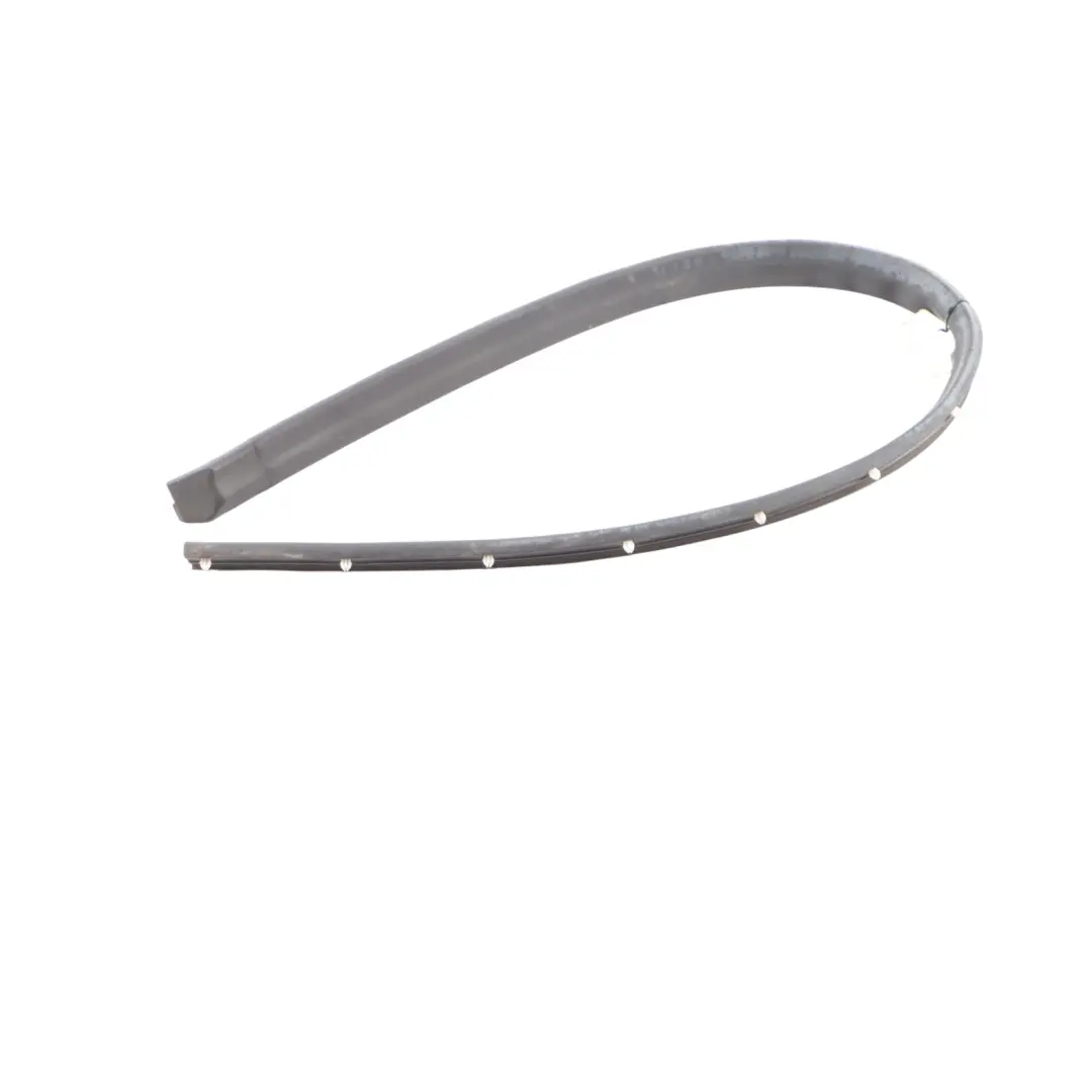 Front Door Lower Weatherstrip Left N/S Sealing Rubber Gasket to BMW G32 with Part number 7416353 BMW G32 Front Door Lower Weatherstrip Left N/S Sealing Rubber Gasket - SKU 7416353 - Part number 7416353