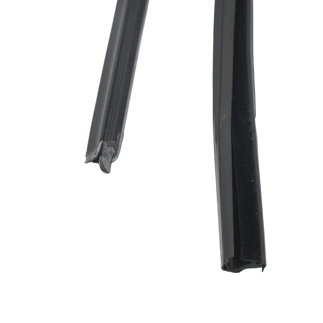 BMW F98 Rear Door Window Guide Rail Seal Gasket Rubber Frame Left N/S - SKU 7416499 - Part number 7416499