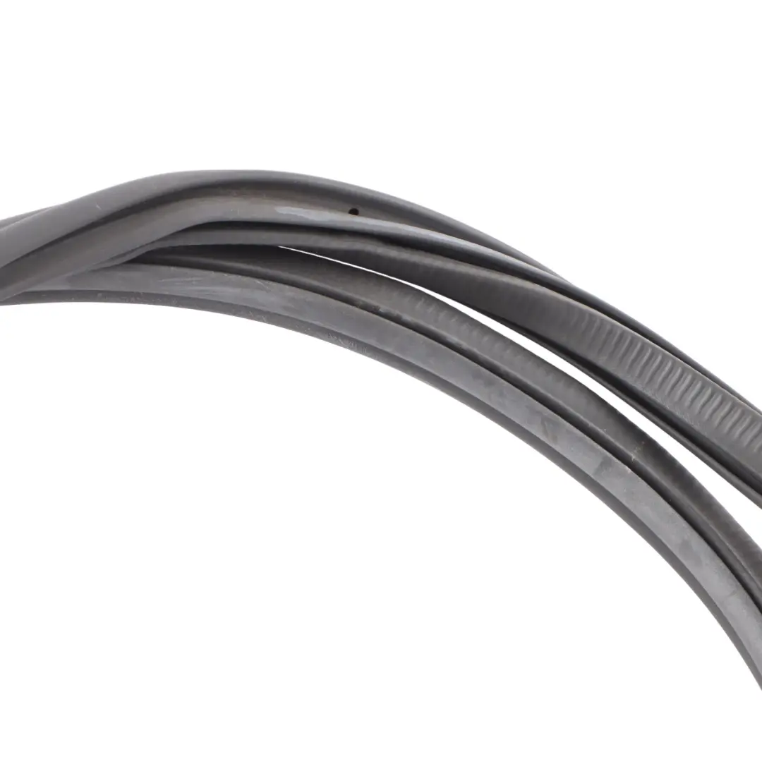 Junta Goma Puerta Delantera Izquierda Protección para BMW G32 GT con número de pieza 7475703 BMW G32 GT Junta Goma Puerta Delantera Izquierda Protección - SKU 7475703 - Número de pieza 7475703