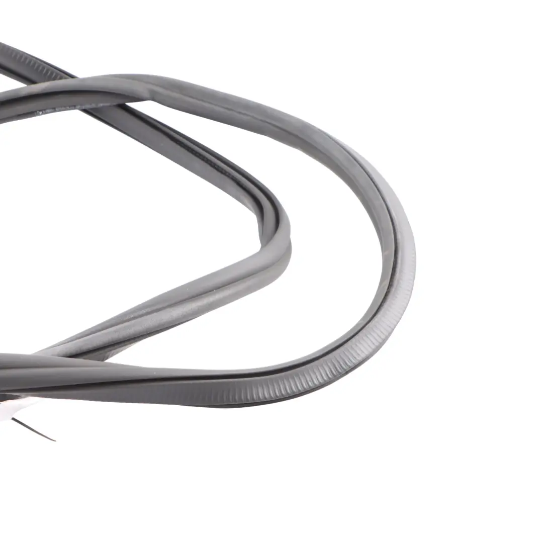 Door Seal Left N/S Protection Gasket Rubber to BMW G32 GT Rear with Part number 7475705 BMW G32 GT Rear Door Seal Left N/S Protection Gasket Rubber - SKU 7475705 - Part number 7475705