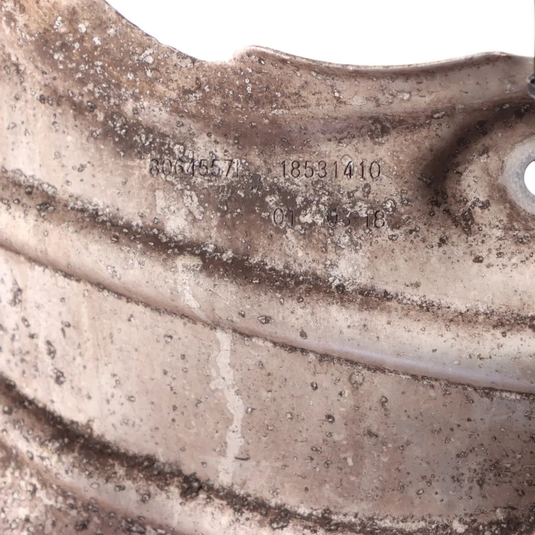 Front Brake Protection Plate Left N/S to BMW X3 F97 X4 F98 with Part number 8064557 BMW X3 F97 X4 F98 Front Brake Protection Plate Left N/S - SKU 8064557 - Part number 8064557