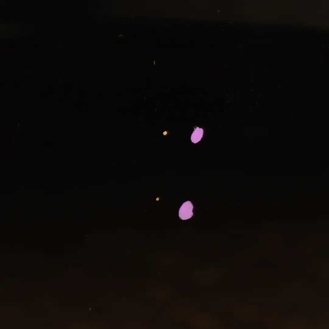 Front Right Door O/S Schwarz 2 Black - 668 to BMW F40 with Part number 8737060 BMW F40 Front Right Door O/S Schwarz 2 Black - 668 - SKU 8737060-SCH - Part number 8737060