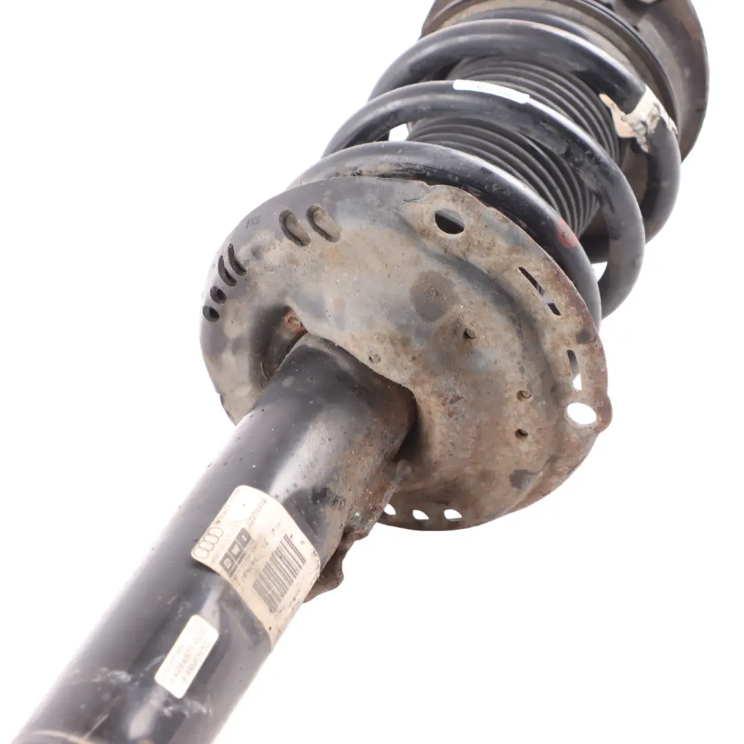 Shock Absorber Front Left Right N/O/S Spring Strut 8V0413029K to Audi RS3 A3 8V with Part number 8V0413029P Audi RS3 A3 8V Shock Absorber Front Left Right N/O/S Spring Strut 8V0413029K - SKU 8V0413029P - Part number 8V0413029P