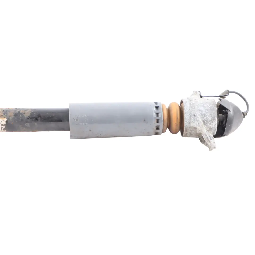 Audi RS3 8V Spring Strut Rear Right O/S Suspension Shock Absorber - SKU 8V0513021N - Part number 8V0513021N