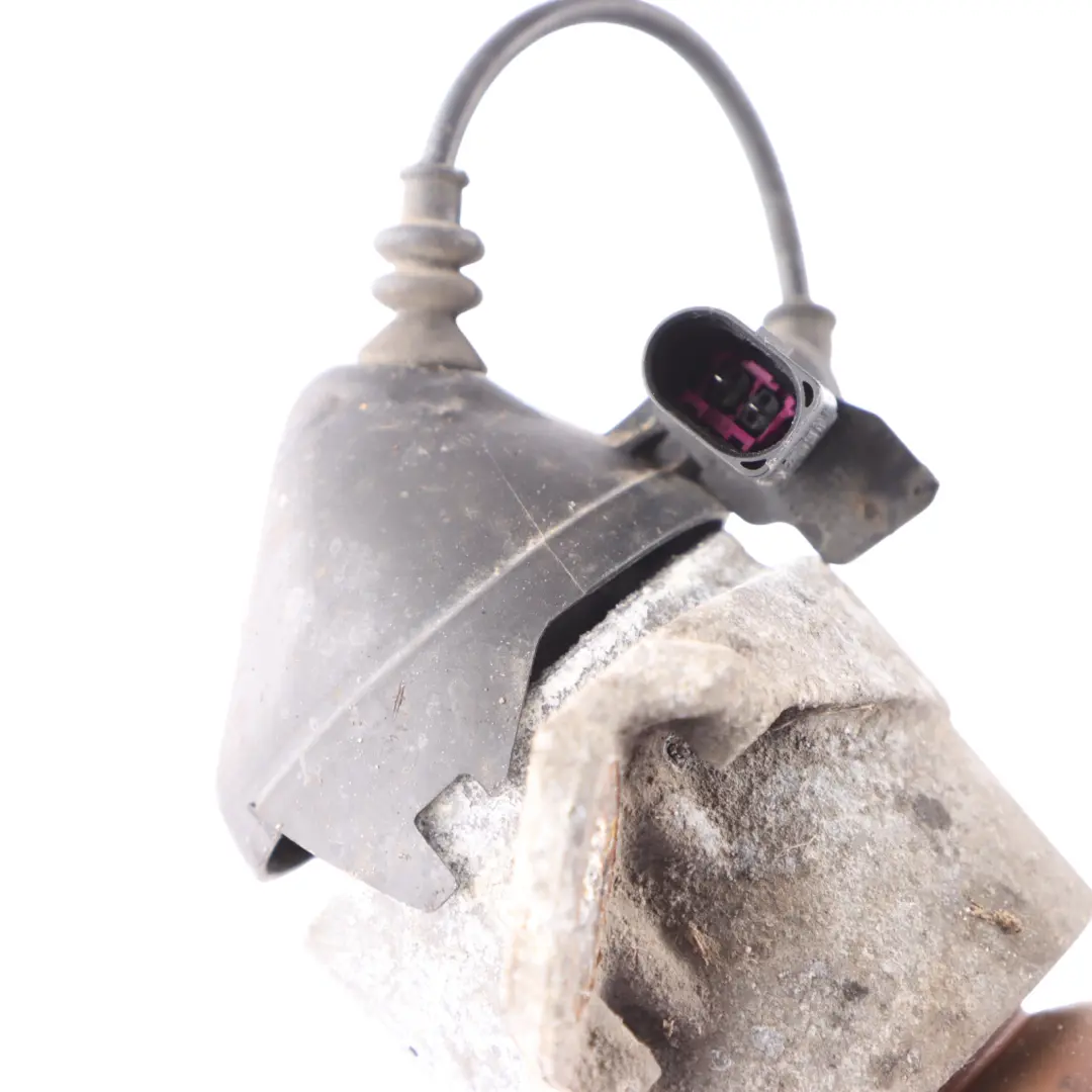 Puntone A Molla Posteriore Sospensione Ammortizzatore per Audi RS3 8V con numero di parte 8V0513021N Audi RS3 8V Puntone A Molla Posteriore Sospensione Ammortizzatore - SKU 8V0513021N - Numero di parte 8V0513021N