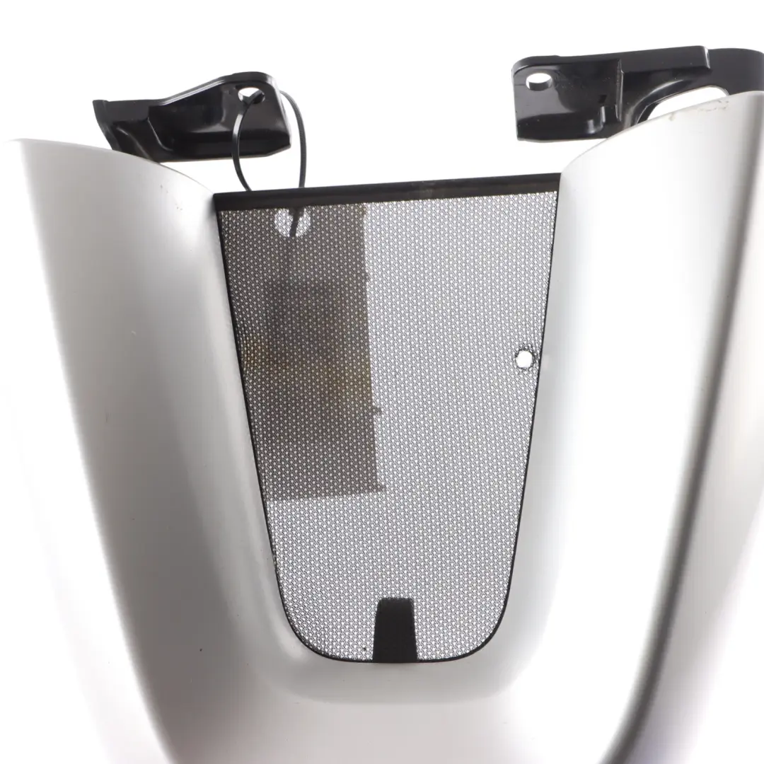 Rollover Protection Silver Left to BMW Z4 E89 Roadster Cabrio Cover with Part number 9128413 BMW Z4 E89 Roadster Cabrio Cover Rollover Protection Silver Left - SKU 9128413 - Part number 9128413