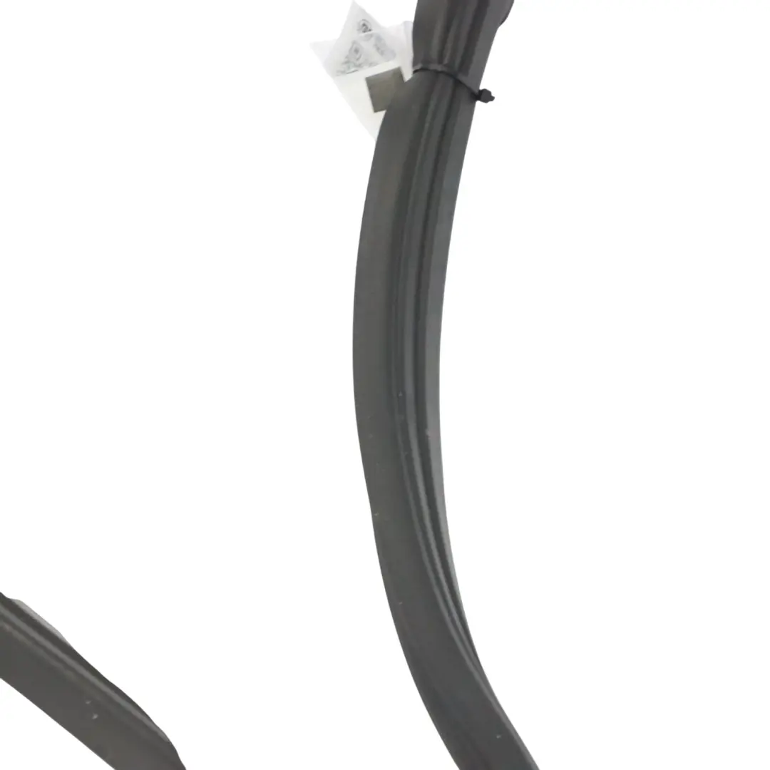 Guarnizione porta anteriore in gomma sinistra per Mercedes W163 con numero di parte A1636901498 Mercedes W163 Guarnizione porta anteriore in gomma sinistra - SKU A1636901498 - Numero di parte A1636901498