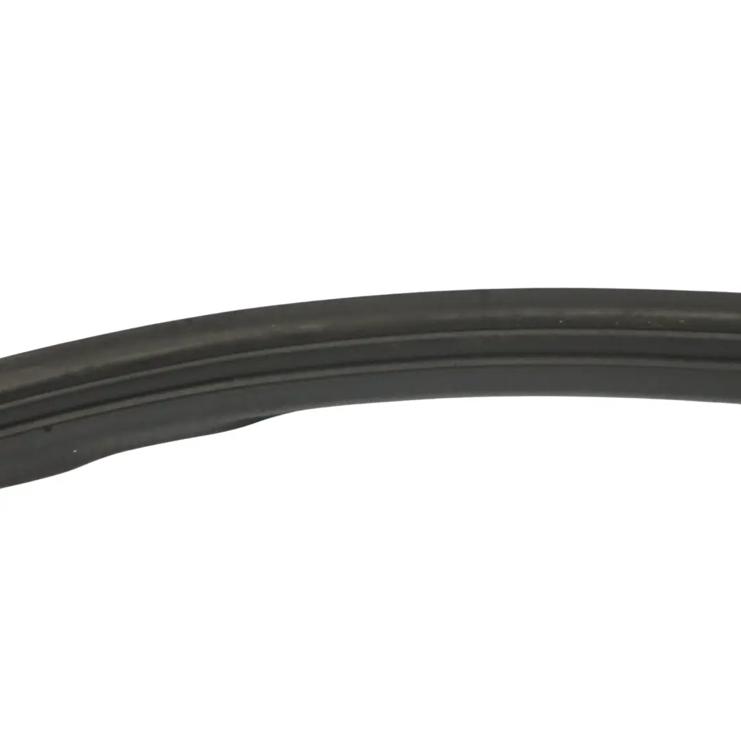 Mercedes W163 Guarnizione porta anteriore in gomma sinistra - SKU A1636901498 - Numero di parte A1636901498