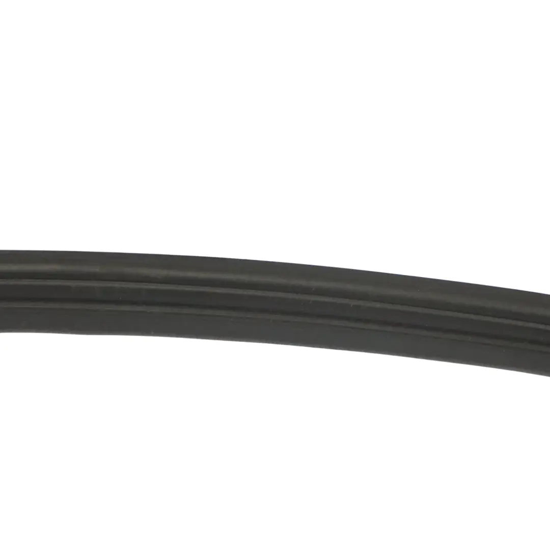 Mercedes W163 Guarnizione porta anteriore in gomma sinistra - SKU A1636901498 - Numero di parte A1636901498