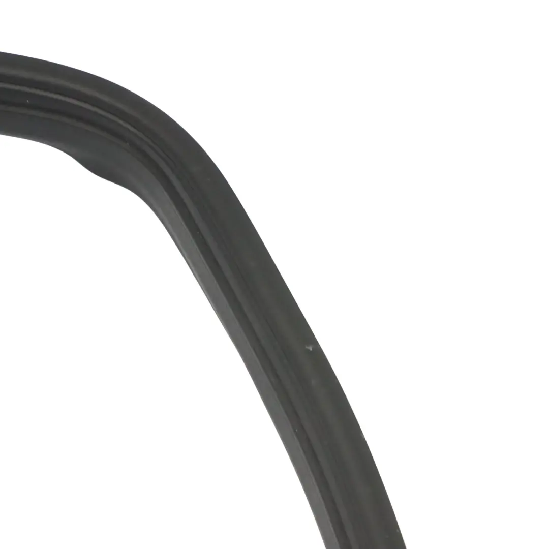 Mercedes W163 Guarnizione porta anteriore in gomma sinistra - SKU A1636901498 - Numero di parte A1636901498