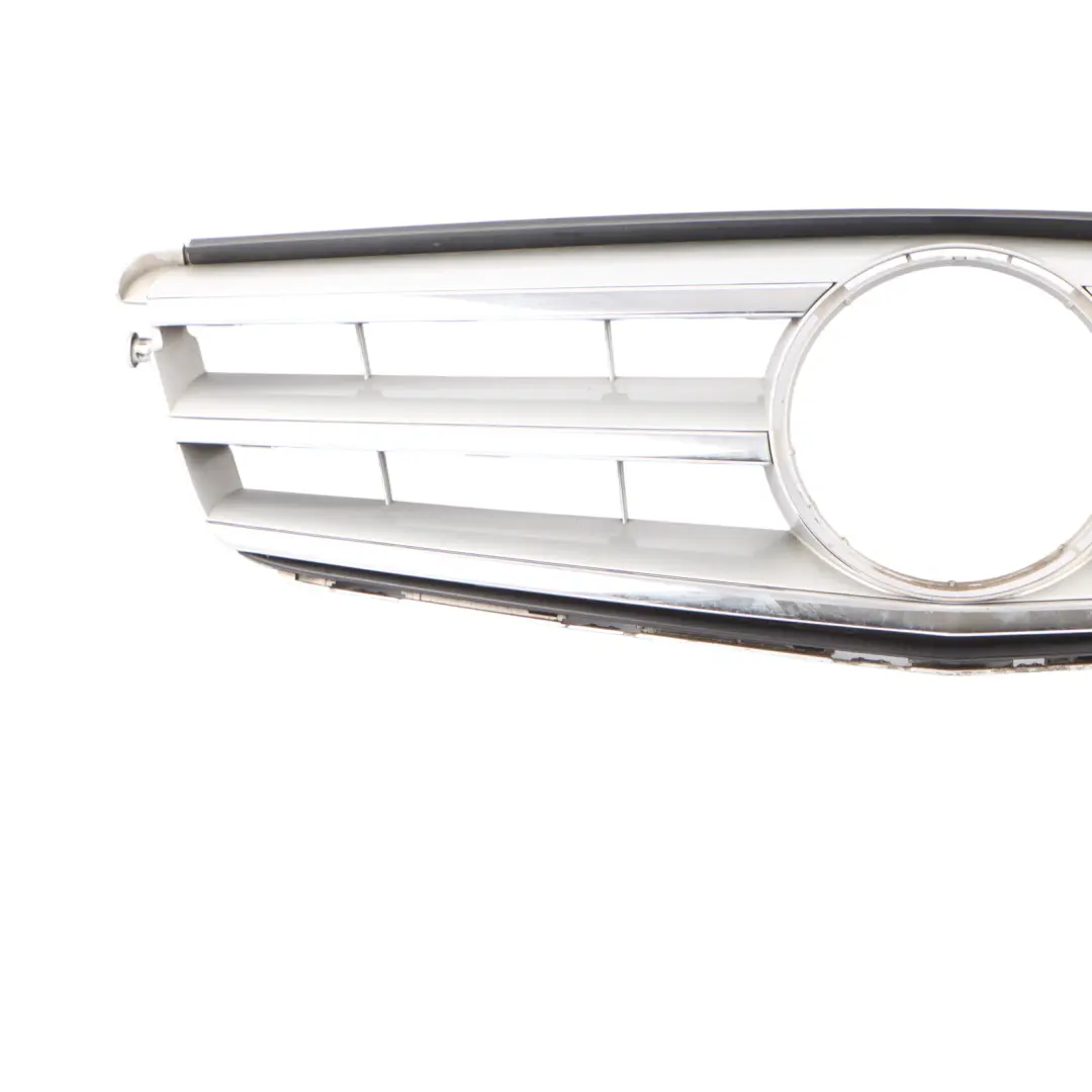 Capó Rejilla Delantera Radiador Panel Plata Cromo para Mercedes W204 con número de pieza A2048800023 Mercedes W204 Capó Rejilla Delantera Radiador Panel Plata Cromo - SKU A2048800023-1 - Número de pieza A2048800023