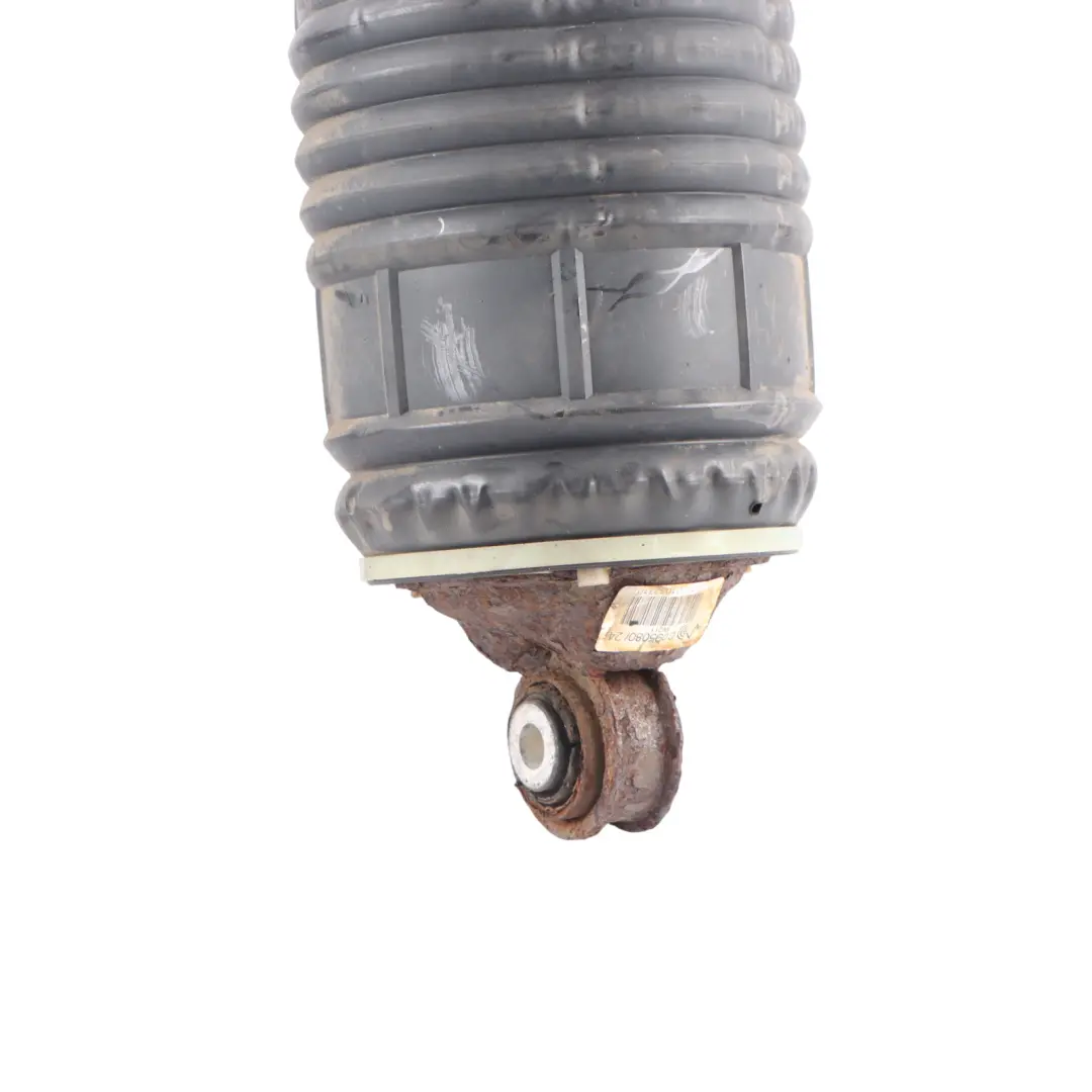 Bolsa De Muelle Suspensión Neumática Trasera Izquierda para Mercedes C219 con número de pieza A2113201525 Mercedes C219 Bolsa De Muelle Suspensión Neumática Trasera Izquierda - SKU A2113201525 - Número de pieza A2113201525