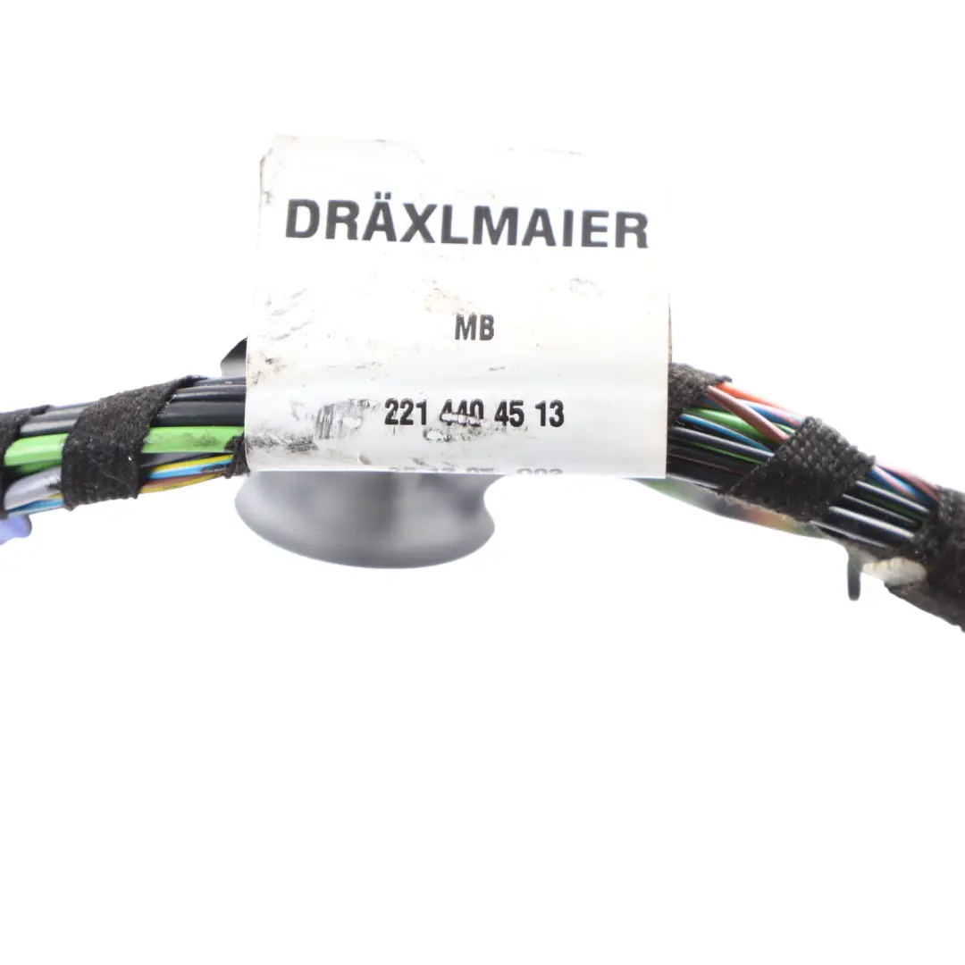 Mercedes W221 Door Wiring Front Door Right O/S Wire Loom - SKU A2214404513 - Part number A2214404513