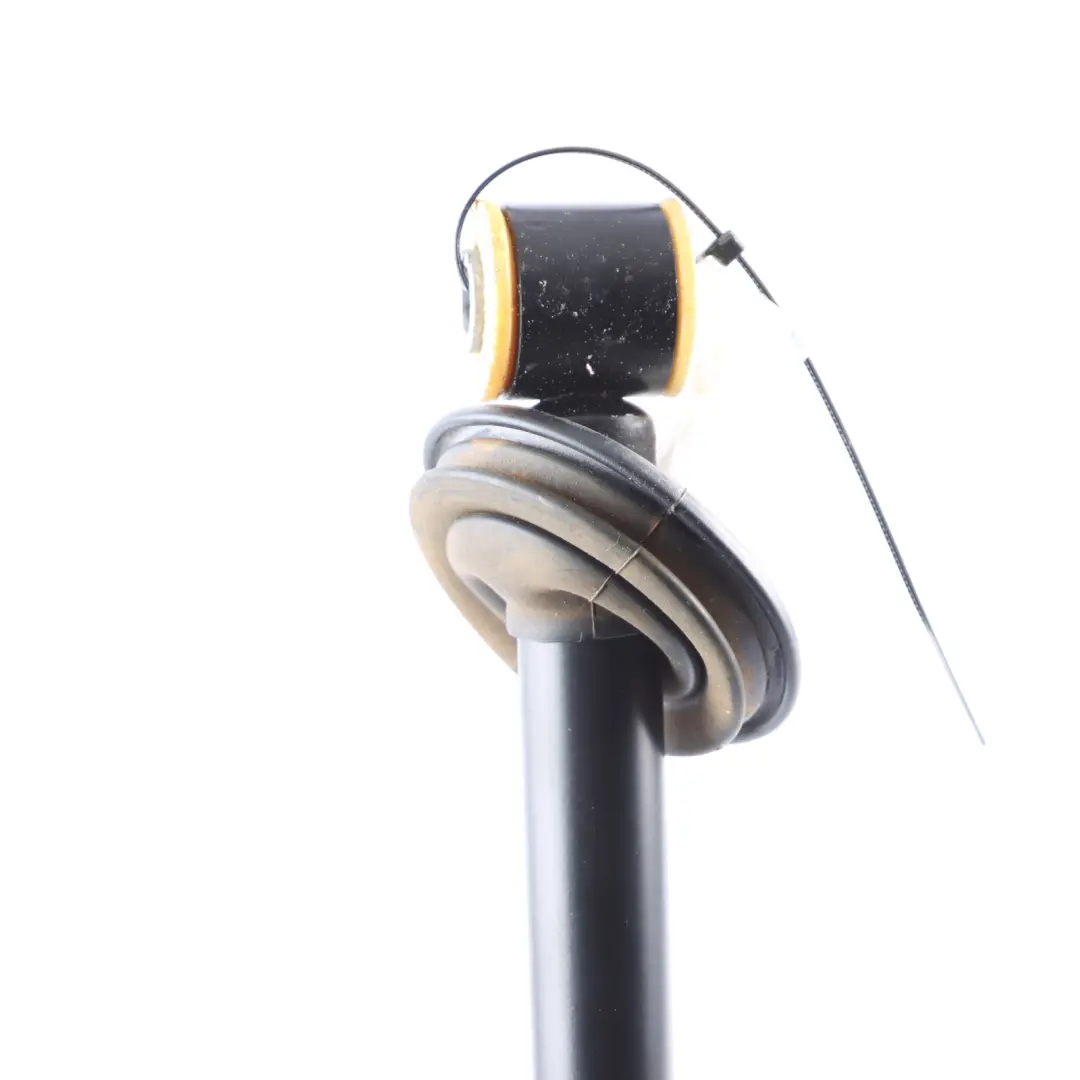 Puerta Trasera Comprobar Freno Correa Strut Derecho para Mercedes W221 con número de pieza A2217300016 Mercedes W221 Puerta Trasera Comprobar Freno Correa Strut Derecho - SKU A2217300016 - Número de pieza A2217300016