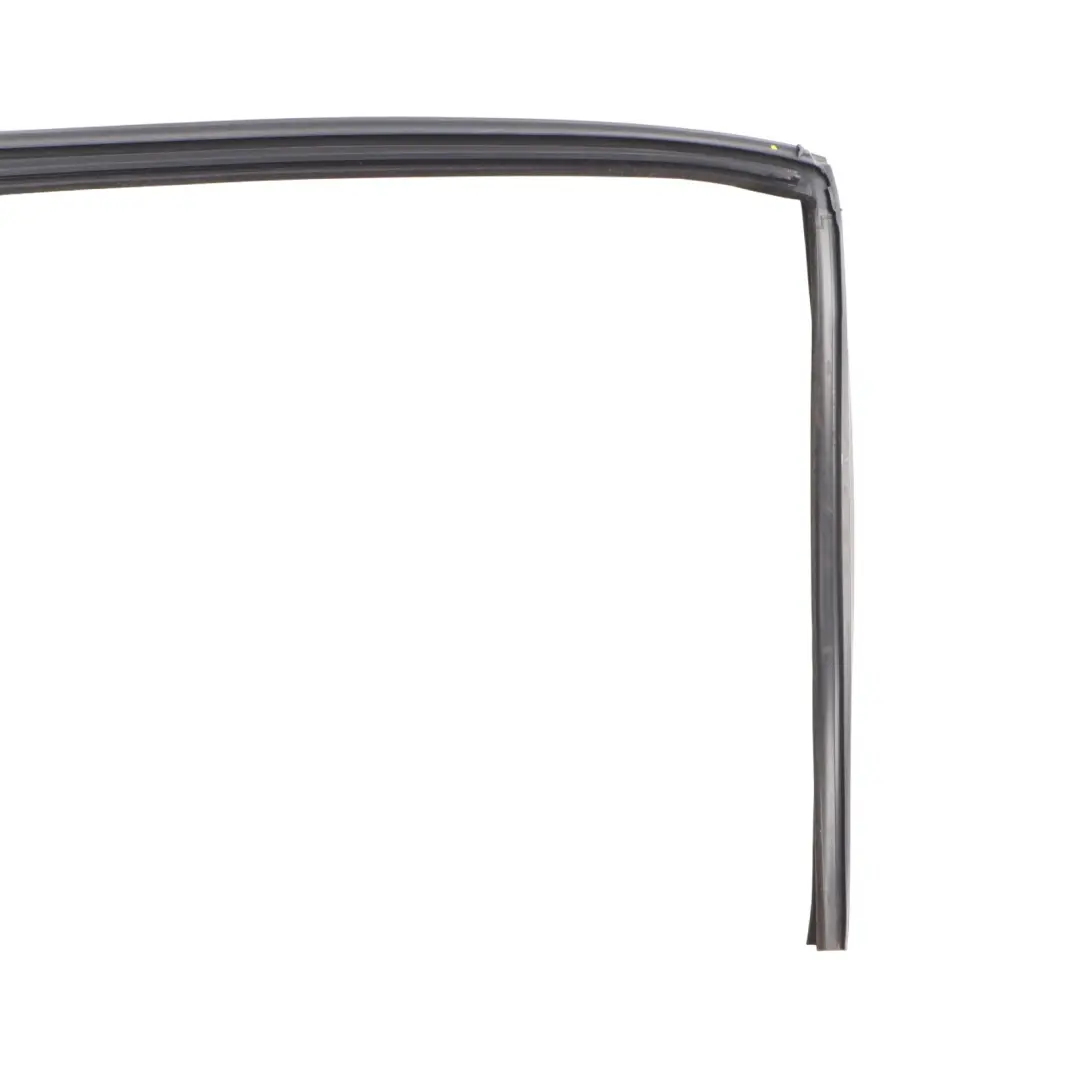 Mercedes W221 Window Guide Rear Door Right O/S Seal Frame Rail - SKU A2217350425 - Part number A2217350425