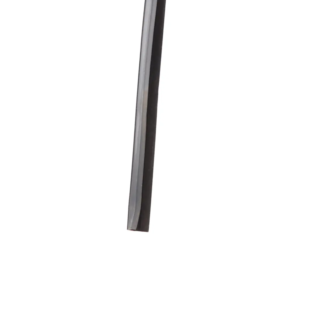 Mercedes W221 Window Guide Rear Door Right O/S Seal Frame Rail - SKU A2217350425 - Part number A2217350425