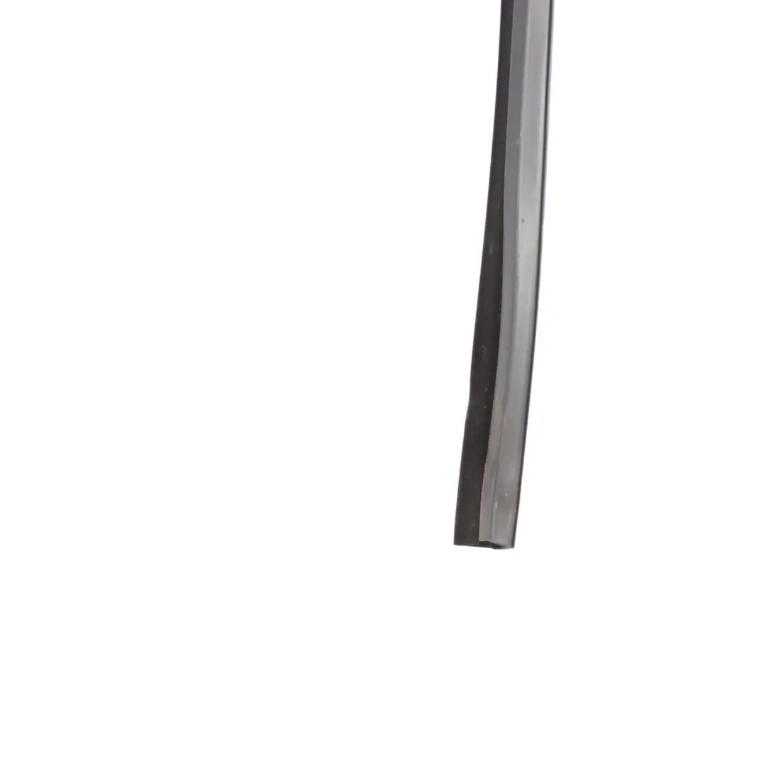 Mercedes W221 Window Guide Rear Door Right O/S Seal Frame Rail - SKU A2217350425 - Part number A2217350425