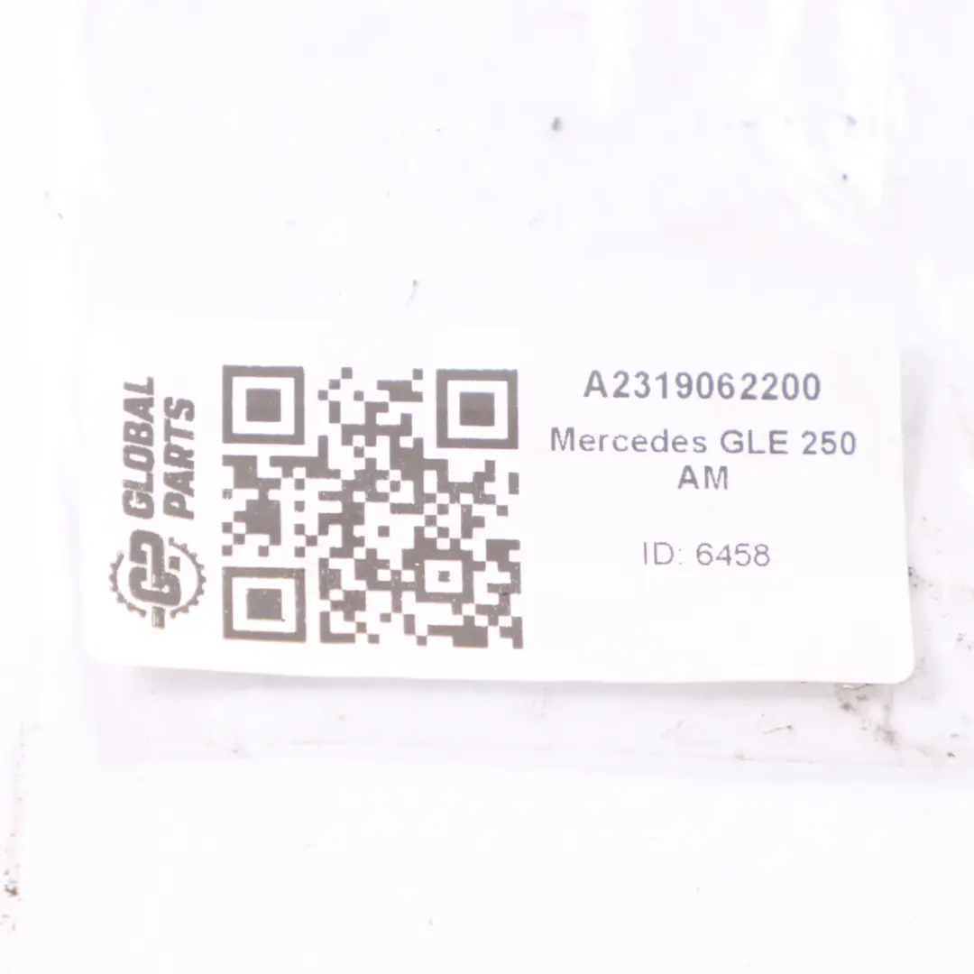 Mercedes GLE 250 AM Porta Tweeter Audio Posteriore Sinistro Destro - SKU A2319062200 - Numero di parte A2319062200