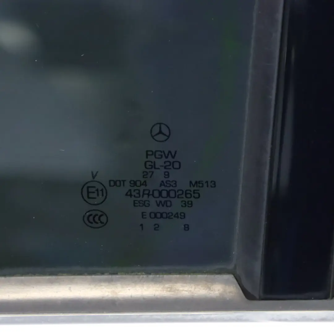 Mercedes W251 Door Rear Left N/S Obsidian Black Metallic - 197 - SKU A2517301105-OB - Part number A2517301105