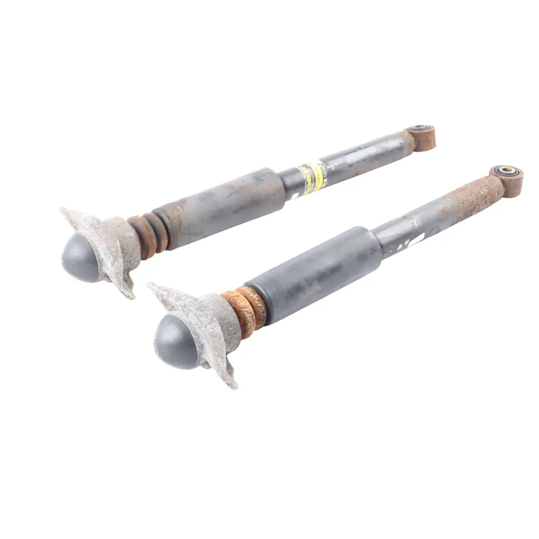 Audi TT 8J Roadster Rear Suspension Strut Shock Absorber Monroe SET - SKU 376228SP - Part number 376228SP