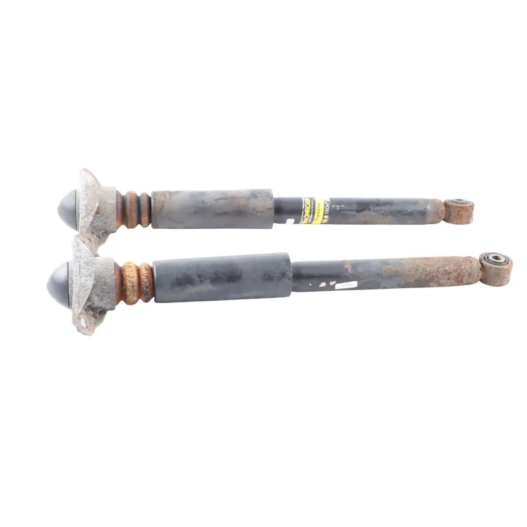 Audi TT 8J Roadster Rear Suspension Strut Shock Absorber Monroe SET - SKU 376228SP - Part number 376228SP