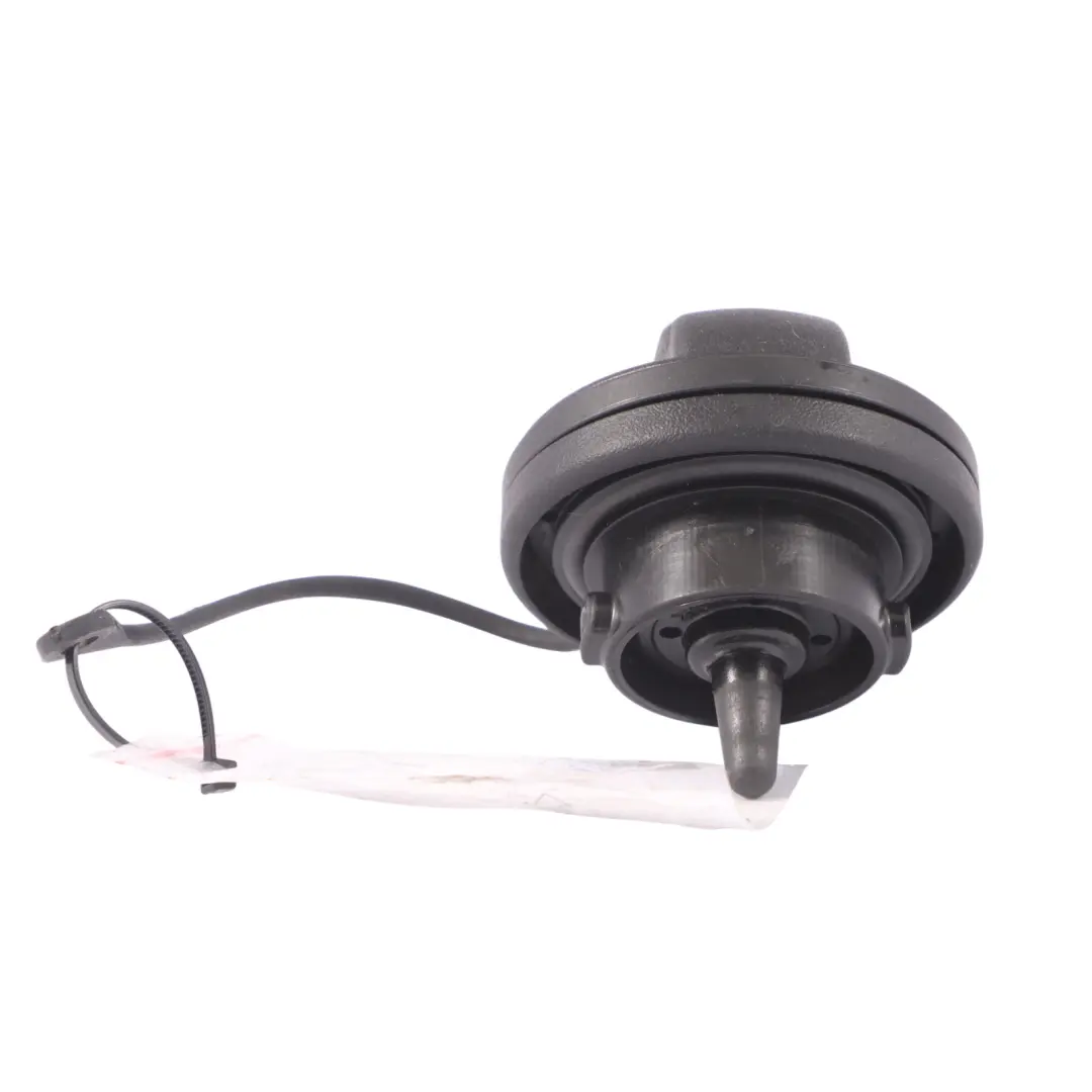 Audi A4 B9 Fuel Flap Screw Diesel Cap - SKU 3AA201553C - Part number 3AA201553C