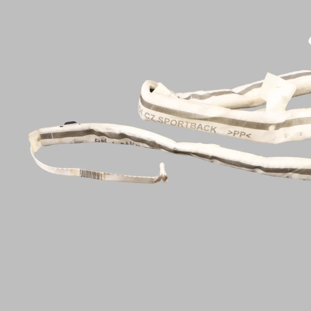 4G8 Curtain Roof Air Module Headliner Right O/S to Audi S7 with Part number 4G8880742B Audi S7 4G8 Curtain Roof Air Module Headliner Right O/S - SKU 4G8880742B - Part number 4G8880742B