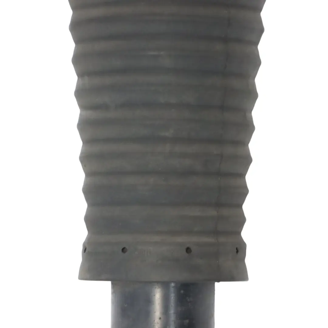 Audi A8L 4H Suspensión Neumática Amortiguador Trasero Izquierdo - SKU 4H0616001M - Número de pieza 4H0616001M