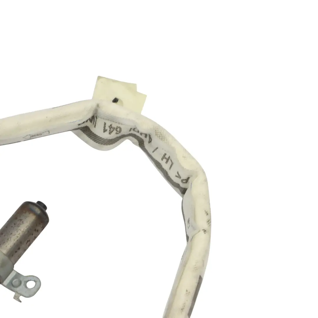 Audi A8L 4H Module d'air des rideaux de toit garniture toit gauche - SKU 4H4880741D - Numéro de pièce 4H4880741D