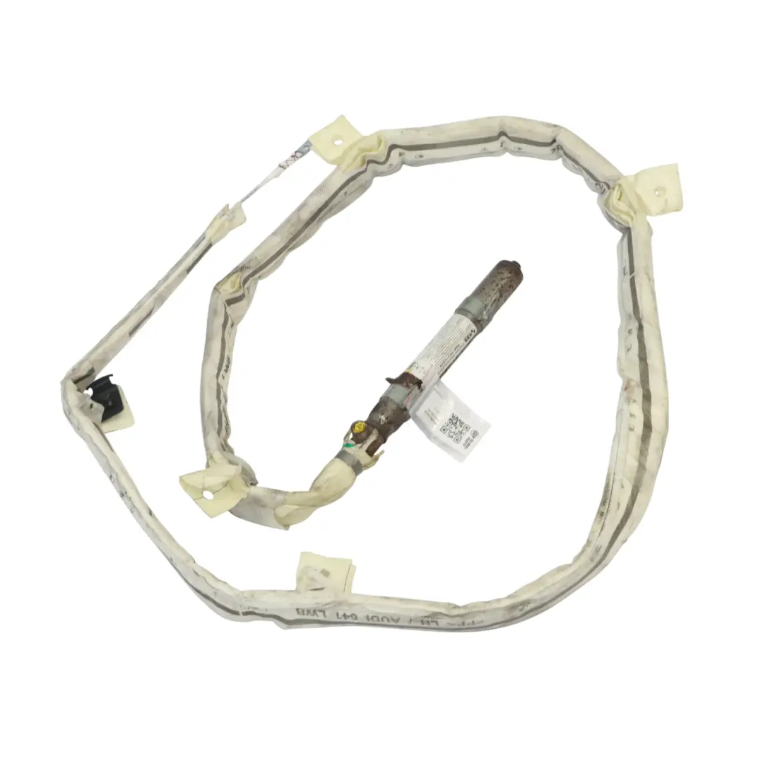 Audi A8L 4H Module d'air des rideaux de toit garniture toit gauche - SKU 4H4880741D - Numéro de pièce 4H4880741D