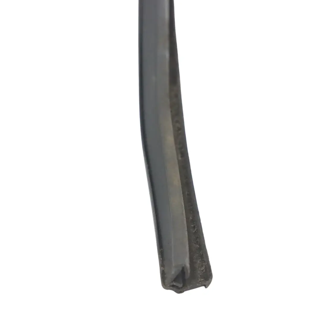 Skoda Octavia 5E Joint de rail de guidage vitre porte arrière gauche - SKU 5E5839431C - Numéro de pièce 5E5839431C