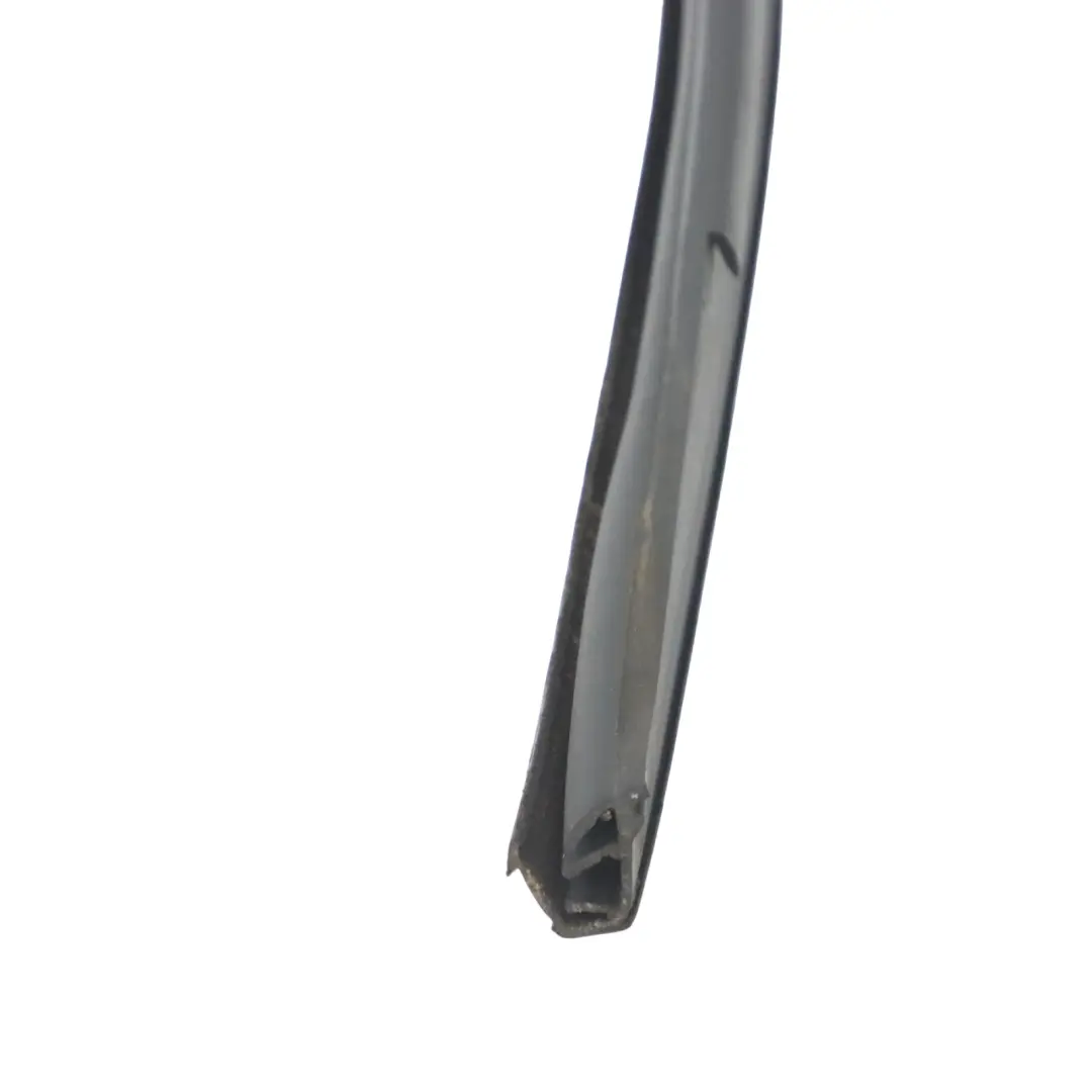 Skoda Octavia 5E Joint de rail de guidage vitre porte arrière gauche - SKU 5E5839431C - Numéro de pièce 5E5839431C