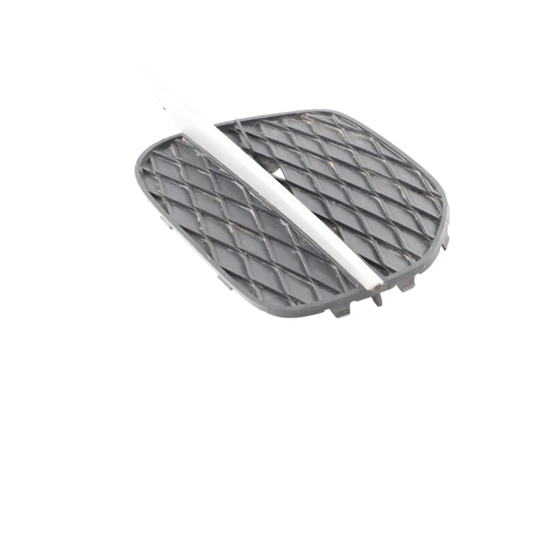 Osłona Listwa Kratka Prawy Przód do BMW X5 E70 LCI o numerze 7222860 BMW X5 E70 LCI Osłona Listwa Kratka Prawy Przód - SKU 7222860 - Numer Części 7222860