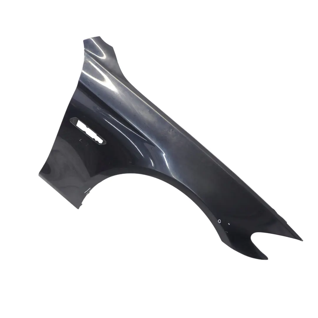 Wing Fender Front Right O/S Side Panel Carbon Black Metallic - 416 BMW F10 F11 - SKU 7248660-CAR1 - Part number 7248660