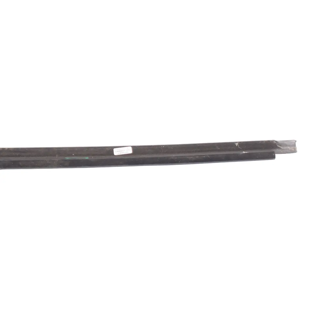 Window Seal BMW X3 F34 Exterior Channel Cover Door Front Left - SKU 7289931 - Part number 7289931