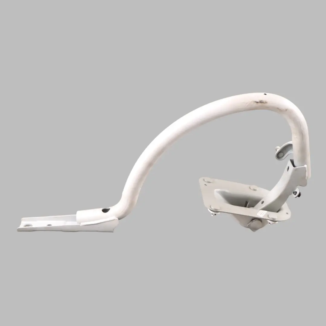 Trunk Lid Tailgate Hinge Left N/S Black Alpine White 3 - 300 to BMW F06 Gran Coupe with Part number 7296003 BMW F06 Gran Coupe Trunk Lid Tailgate Hinge Left N/S Black Alpine White 3 - 300 - SKU 7296003-AW - Part number 7296003