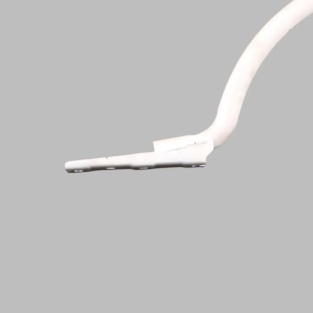 Trunk Lid Tailgate Hinge Right O/S Black Alpine White 3 - 300 to BMW F06 Gran Coupe with Part number 7296004 BMW F06 Gran Coupe Trunk Lid Tailgate Hinge Right O/S Black Alpine White 3 - 300 - SKU 7296004-AW - Part number 7296004